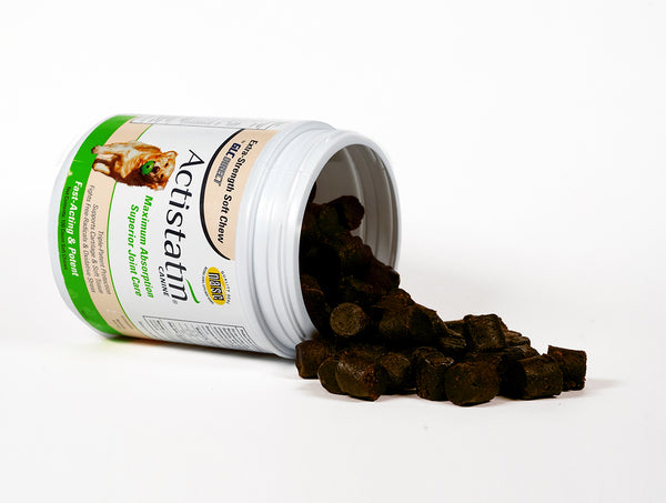 Actistatin Canine - 10 Chews BEST PRICES!